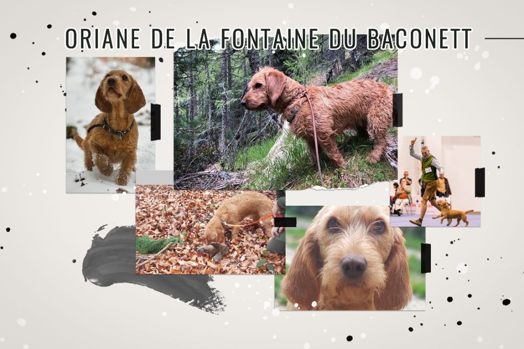 Oriane de la fontaine du baconnet