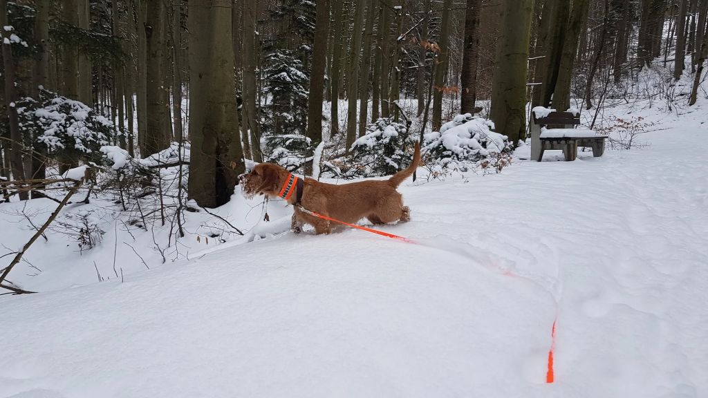 Felice Von Der Kalksburgerhöh