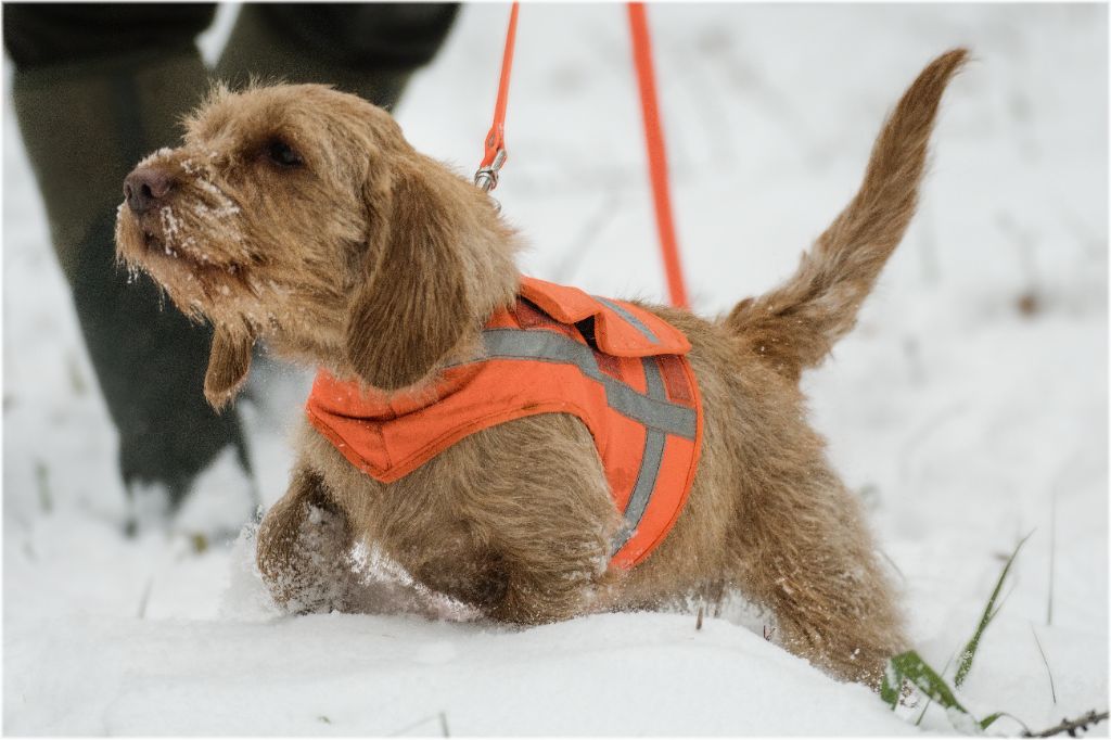 Claire Von Der Kalksburgerhöh