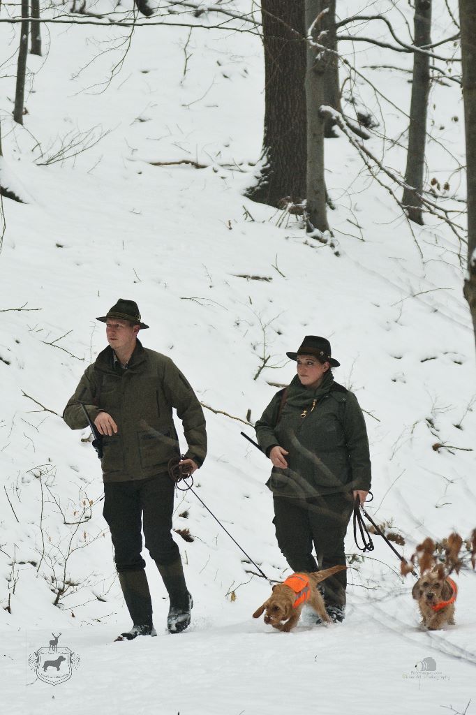 Von Der Kalksburgerhöh - NEWS