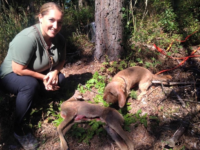 Examen des systèmes héréditaires Aminata