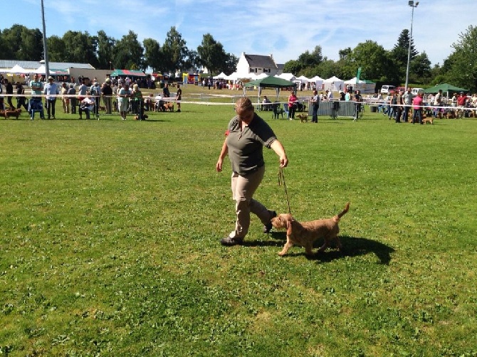 National d'Elevage Maroue