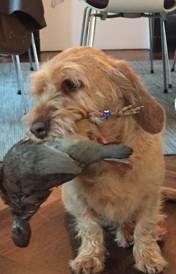 Von Der Kalksburgerhöh - Nous pouvons faire quoi que ce soit