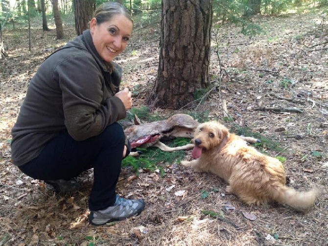 Test de Chasse - Amélie