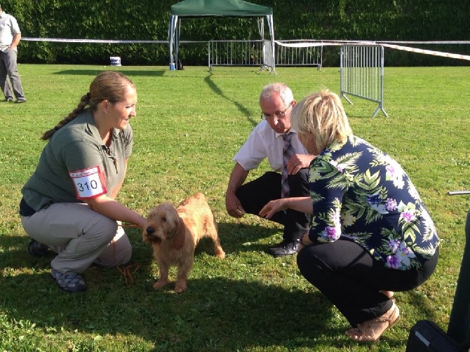 Nationale d'elevage Maroue 2