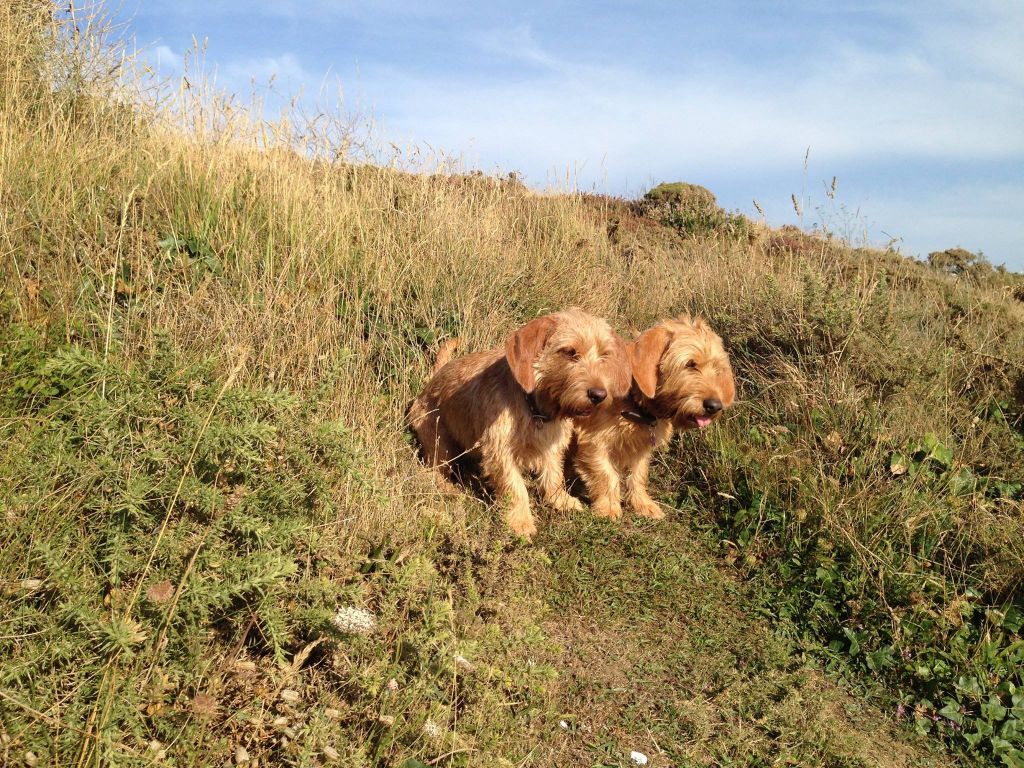 Notre visite en Bretagne