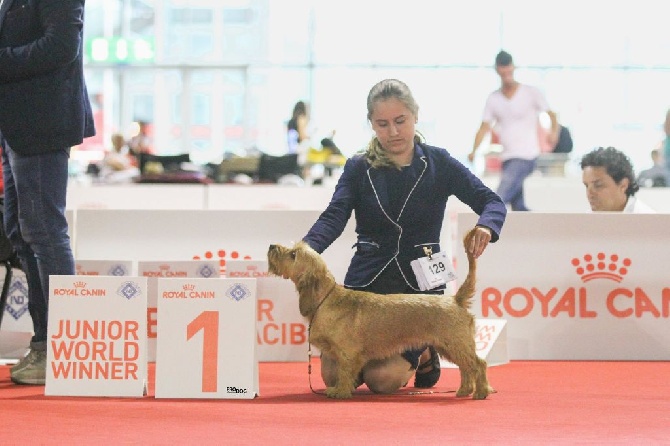 Von Der Kalksburgerhöh - World Dog Show Milano 2015