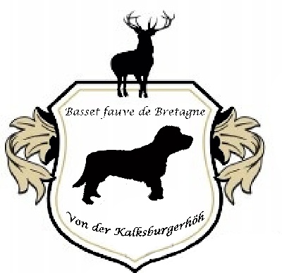 Von Der Kalksburgerhöh